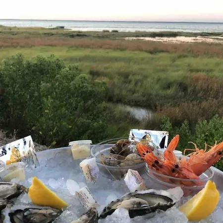 Grande Maison Familiale Piscine Et Jardin Villa *
