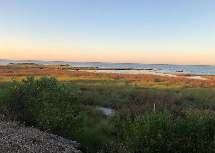 Grande Maison Familiale Piscine Et Jardin Gujan-Mestras